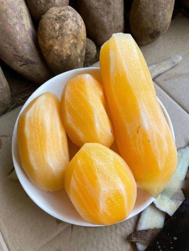 Củ sâm đất có thể chế biến được nhiều món ngon.
