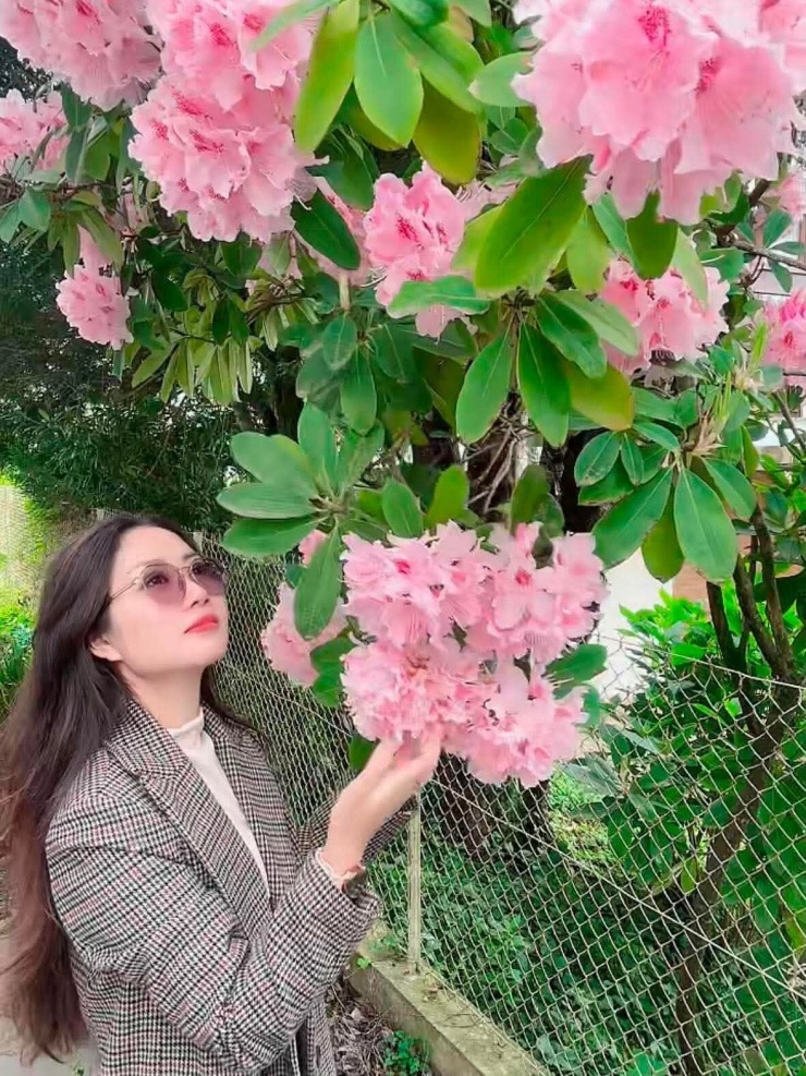 Mẹ Việt dành 6 năm biến khu đất 1000 m2 bên suối thành vườn cây mơ ước - 2