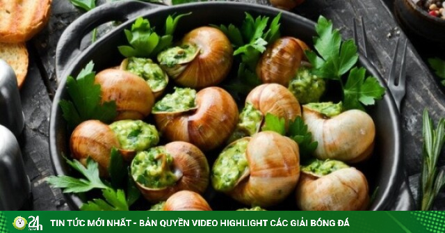 Vì sao người châu Âu thích ăn ốc sên?