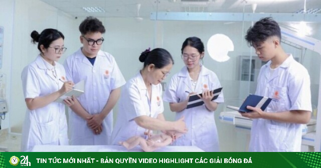 Mức học phí dự kiến năm học 2026-2027 các trường khối Y - Dược