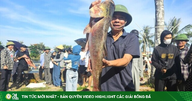Sau một hồi trống hiệu, 'cả làng nơm thủ' Nghệ An xuống hồ Bàu Mực tranh tài, bắt toàn cá to bự thế này đây