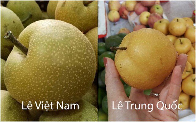 Loại quả 'tốt nhất thế giới' xưa mọc dại giờ là đặc sản, vào mùa bán đầy chợ Việt giá 'rẻ như cho', trồng một lần thu hoạch cả đời - 3