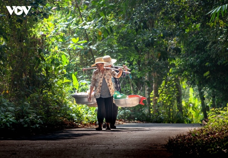 "Giữa cái se lạnh của sương sớm của Núi Cấm, được cầm trên tay chiếc bánh bò thốt nốt nóng hổi, thơm lừng rồi chậm rãi thưởng thức quả thực là một trải nghiệm tuyệt vời, xua tan đi mọi mệt mỏi của chặng đường dốc".