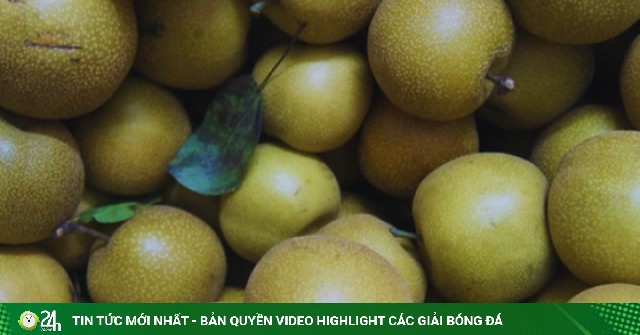 Loại quả 'tốt nhất thế giới' xưa mọc dại giờ là đặc sản, vào mùa bán đầy chợ Việt giá 'rẻ như cho', trồng một lần thu hoạch cả đời