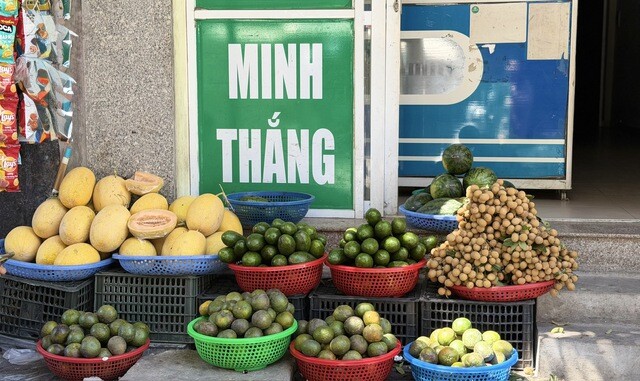 Bơ đang vào mùa nên được bày bán nhiều trên thị trường.