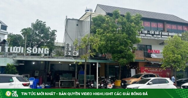 Vụ đưa cô gái và bạn đi ăn cua hoàng đế, tôm Alaska hết 16 triệu: Chủ quán kể về tình tiết lạ
