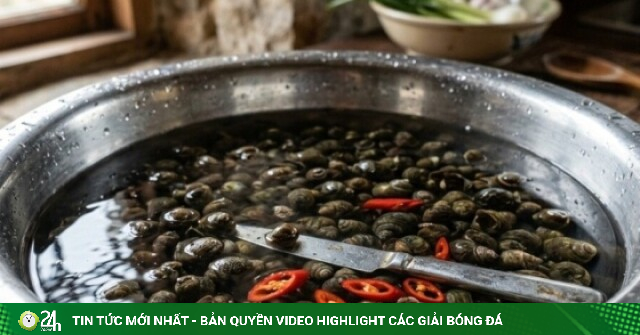 Cách làm sạch ốc nhồi nhanh nhất