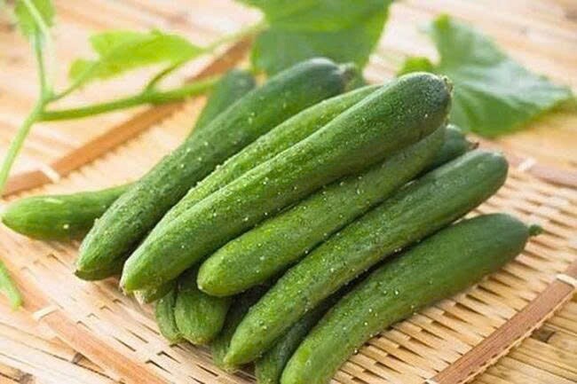 Vì sao dưa leo đôi khi có vị đắng, có thực sự an toàn để ăn? - 2