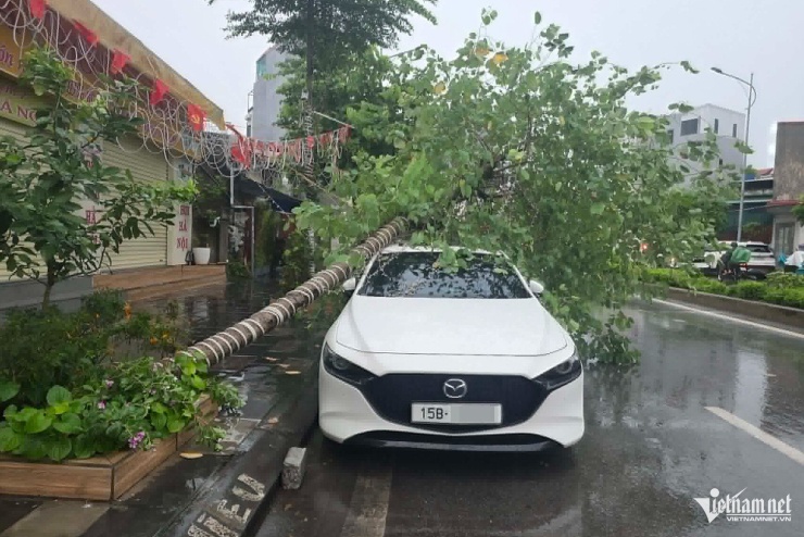 Thu Hằng