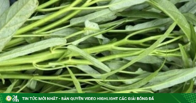 Loại rau quốc dân ở Việt Nam ra nước ngoài lại thành đặc sản đắt đỏ