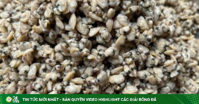 4 món canh ngày hè với loại đặc sản rẻ tiền nhưng giúp mát gan, giải độc