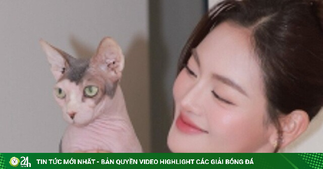 Thùy Anh tằn tiện từng đồng để chăm sóc '5 đứa con thơ'