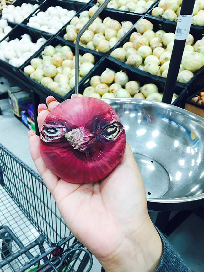 Củ hành tây giống hệt chú chim Angry bird.