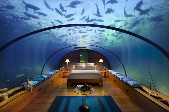 Tổ hợp khu nghỉ dưỡng khách sạn Conrad Maldives Rangali ở Maldives nằm dưới đáy đại dương. Đến đây, du khách được ăn, ngủ cá mập.