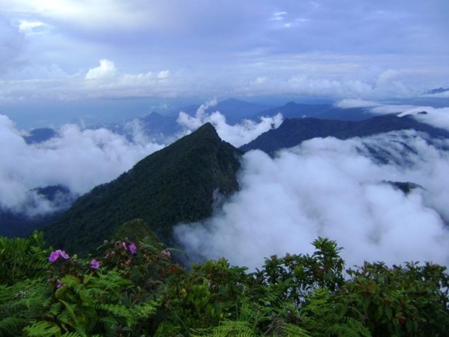 6. Rừng rậm Borneo

Borneo thuộc quyền quản lý của Malaysia, Brunei và Indonesia và là một trong những khu rừng nhiệt đới lâu đời nhất trên thế giới với 11.000 loài cây có hoa tuyệt đẹp. Để đến Borneo, du khách phải vượt qua núi Kinabalu cao hơn 4.000m khá hiểm trở mà theo nhà tự nhiên học người Anh Hugh Low diễn tả là “chỉ có cánh mới bay qua được”.