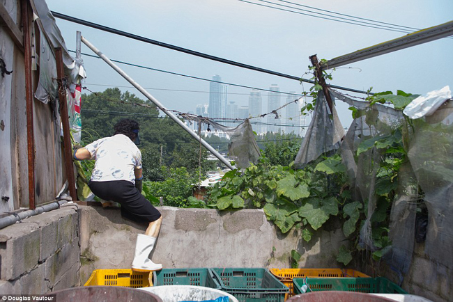 Vẻ tráng lệ của những tòa nhà chọc trời tại quận Gangnam ở thủ đô Seoul đối lập hoàn với khu ổ chuột Guryong ngay bên cạnh.