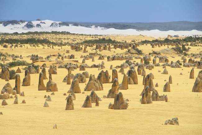 Sa mạc Pinnacles thuộc công viên quốc gia Nambung, gần thị trấn Cervantes với hàng ngàn cột đá vôi đa dạng màu sắc, hình dáng, độ cao khiến bạn tưởng mình đang ở vùng đất ngoài hành tinh.