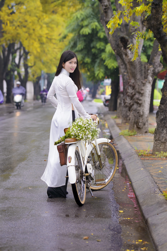 &#34;Hà Nội mùa thu, cây cơm nguội vàng, cây bàng lá đỏ...&#34; là câu hát quen thuộc trong ca khúc &#34;Nhớ mùa thu Hà Nội&#34; của nhạc sỹ Trịnh Công Sơn.