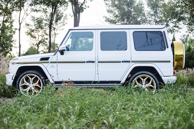 Tại Việt Nam G63 AMG có mức giá vô cùng đắt đỏ