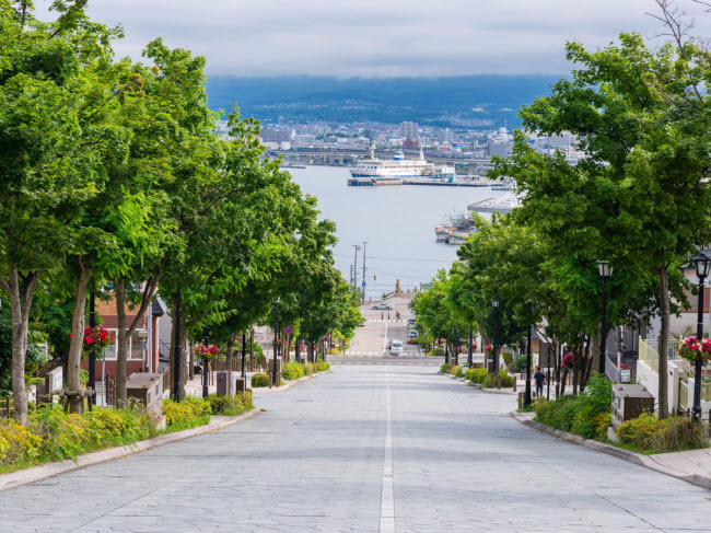 Nằm ở phía bắc Nhật Bản, hòn đảo Hokkaido nổi tiếng với các ngọn núi lửa, suối nước nóng và các khu nghỉ dưỡng trượt tuyết. Du khách có thể tham gia các hoạt động như ngắm chim, tham quan bằng khinh khí cầu tại đây.