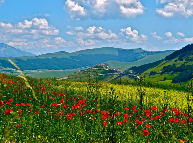 Du khách tới ngôi làng Castelluccio có thể tham gia nhiều hoạt động ngoài trời như cưỡi ngựa, đi bộ, dù lượn, nhảy dù hay trượt tuyết vào mùa đông. Ngôi làng cũng được bao quanh bởi những cánh đồng hoa nhiều màu sắc vào mùa xuân và mùa hè.