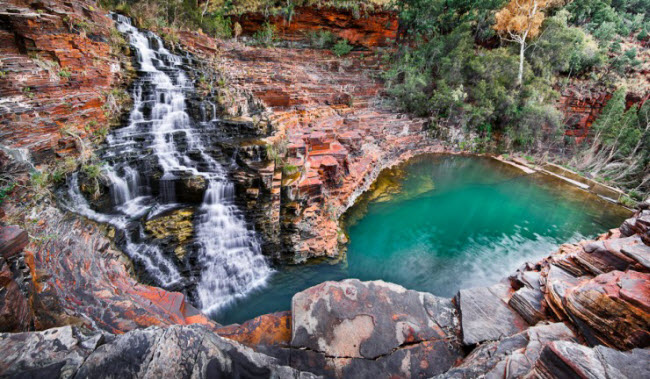 Vườn quốc gia Karijini là nơi sinh sống của nhiều loài động vật quý hiếm như kangaroo đỏ, thú lông nhím, tắc kè, kỳ nhông, dơi, rắn và nhiều loài chim.