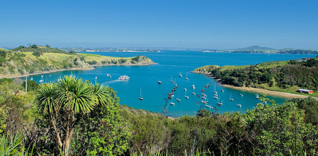 Đảo Waiheke ở New Zealand có phong cảnh giống ngôi làng ven biển ở New England &#40;Mỹ&#41;. Một trong những điểm hấp dẫn nhất trên hòn đảo này là các vườn nho. Bạn thể thưởng thức các loại rượu nho nổi tiếng như Syrahs&nbsp;và Sauvignon Blancs.