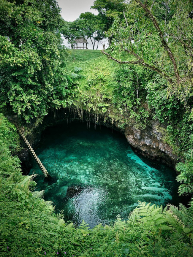 Khung cảnh tuyệt đẹp xung quanh rãnh đại dương Sua ở Samoa.