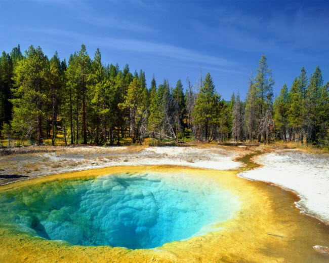 Bể bơi tự nhiên Morning Glory trong vườn quốc gia Yellowstone, Mỹ.