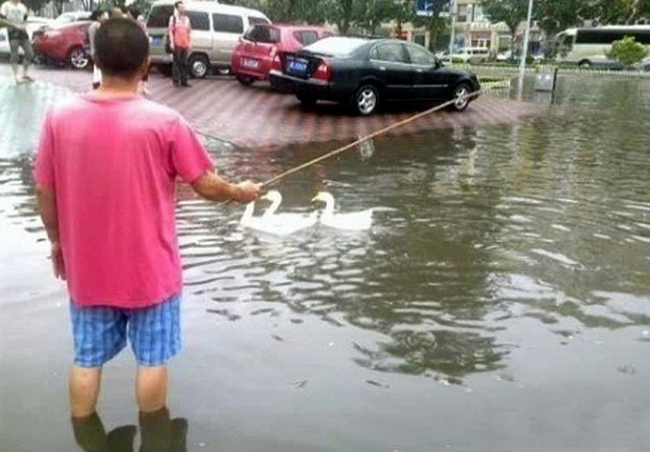 Nước lên cao thế này kiểu gì chả câu được cá.