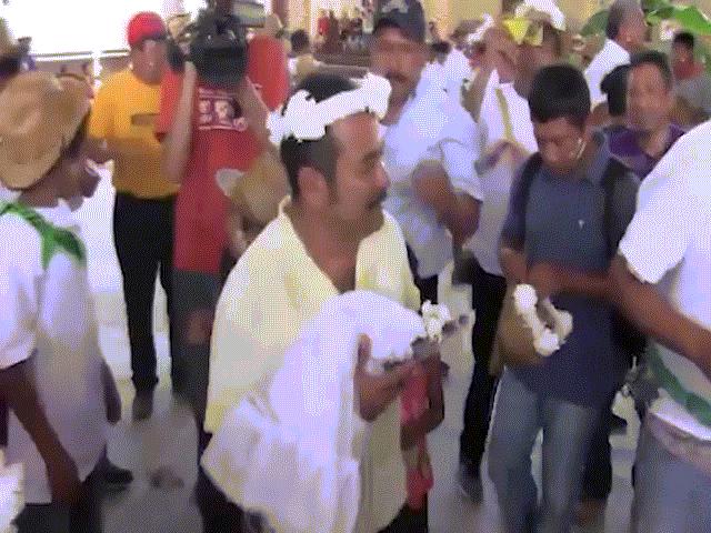 Thị trưởng Mexico cưới cá sấu mặc váy trắng làm vợ