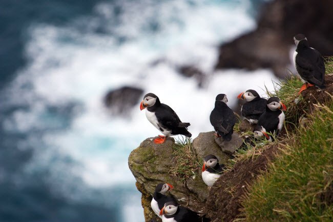 Mykines, quần đảo Faroe: Hòn đảo Mykines là địa điểm bạn có thể tìm thấy sự yên tĩnh hoàn toàn. Bên cạnh những đàn chim hải âu rụt cổ, chỉ 20 người sinh sống ở đây quanh năm. Phong cảnh trên đảo bao gồm các ngôi nhà mái cỏ nhiều màu sắc, vách núi dựng đứng sát biển.