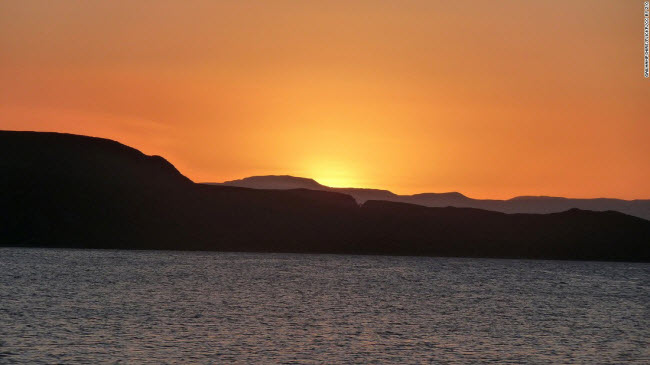 Cá mập voi, Djibouti: Vịnh Ghoubet ở phía tây Djibouti là nơi du khách có thể thoải mái bơi cùng cá mâp voi, cá đuối, cá heo và một số loài cá mập.