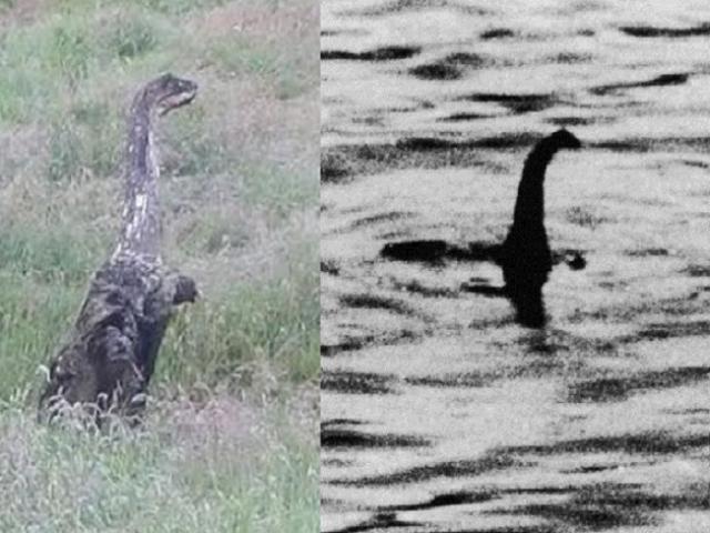 Phát hiện quái vật hồ Loch Ness cách ”nhà” 200km?