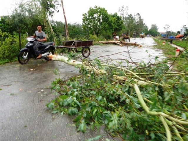 Tháng 8, Việt Nam phải hứng chịu bao nhiêu cơn bão?