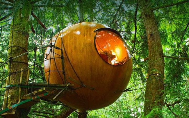 28. Khách sạn Spirit Spheres ở Vancouver, Canada

Nằm giữa những bụi cây của rừng nhiệt đới phía tây đảo Vancouver những phòng của khách sạn này được xây dựng bằng thủ công với thiết kế phòng trong giống những quả cầu của người ngoài hành tinh được làm bằng gỗ tuyết tùng và sợi thủy tinh. Nhưng quả cầu như thế này được gắn chặt vào cây bằng dây thừng, và những căn phòng này nhẹ nhàng lắc lư trong gió.