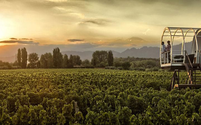 46. Khách sạn Entre Cielos, Mendoza, Argentina

Tại Mendoza, trong một khu vườn nho ở chân dãy Andes, là khách sạn Wellness Entre Cielos hiện đại của Thụy Sỹ. Được thiết kế giống như là một cái kén bám trên sàn nhà bên cạnh các cây nho. Khách sạn có một bồn tắm trên sân thượng và một cửa sổ trên mái nhà có tầm nhìn tuyệt vời ra bầu trời đầy sao.