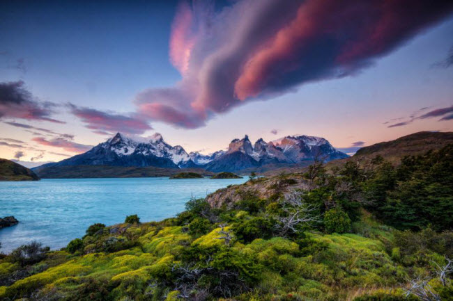 Dãy núi Andes phân cách đám mây màu hồng trên bầu trời với rừng cây xanh mướt và nước trong xanh trong vườn quốc gia Torres Del Paine, Chile.