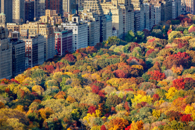 New York, Mỹ: Thành phố này đẹp nhất vào mùa thu, khi du khách có thể tránh được tình trạng đông đúc vào mùa hè và thoải mái thưởng ngoạn phong cảnh thành phố trong thời tiết mát dịu.