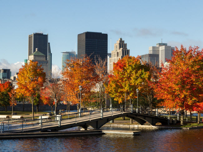 Montreal, Canada: Những con đường đá&nbsp;cuội tại khu phố cổ và các công trình kiến trúc lịch sử trở nên cuốn hút hơn vào mùa thu.