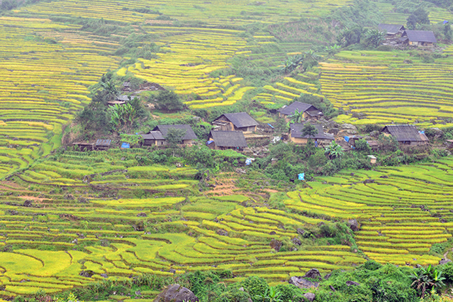 Trên đường đến Mù Cang Chải, bạn không thể bỏ qua xã Tú Lệ, bản Lìm Mông, cánh đồng Cao Phạ, đèo Khau Phạ... và những điểm có ruộng bậc thang đẹp nhất như xã La Pán Tẩn, Chế Cu Nha, bản Thái, Cầu Ba Nhà….