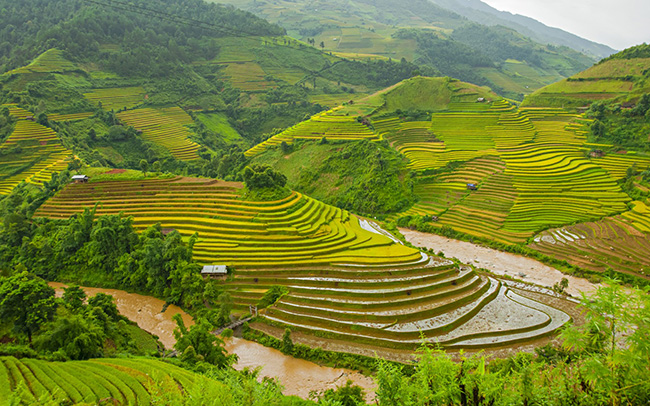 20. Việt Nam

Từ những ngọn núi đầy ấn tượng tại vịnh Hạ Long tới những thửa ruộng bậc thang đẹp như mơ tại Sapa, Việt Nam được thiên nhiên ưu ái ban tặng cho rất nhiều cảnh đẹp tự nhiên vô cùng đặc sắc.