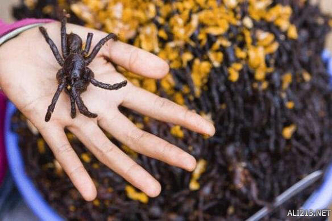 Nhện chiên của Campuchia: Loài nhện màu đen, có lông dài và có độc này có tên gọi là Tarantula. Chúng thường sống trong các lỗ sâu khoảng nửa mét. Người Campuchia chế biến món này bằng cách thêm hành, muối và một số gia vị khác, sau đó chiên ngập dầu, vậy là chúng ta đã có một món ăn vừa thơm vừa giòn cực kỳ ngon.