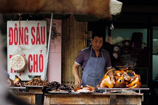 Thịt chó thường được các đầu bếp Việt Nam chế biến thành các món: thịt luộc, dồi nướng, lòng hấp, thịt nướng &#40;chả chìa&#41;, nhựa mận &#40;xào lăn&#41;, xáo măng &#40;lẩu&#41;. Các gia vị chính để chế biến món thịt chó, gồm sả, riềng, mẻ, mắm tôm.