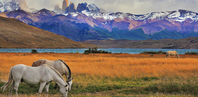 Patagonia, Chile: Đến Chile vào mùa hè &#40;từ tháng 12 năm trước tới tháng 2 năm sau&#41;, du khách có cơ hội chiêm ngưỡng mặt trời dường như không bao giờ lặn tại vùng Patagonia.