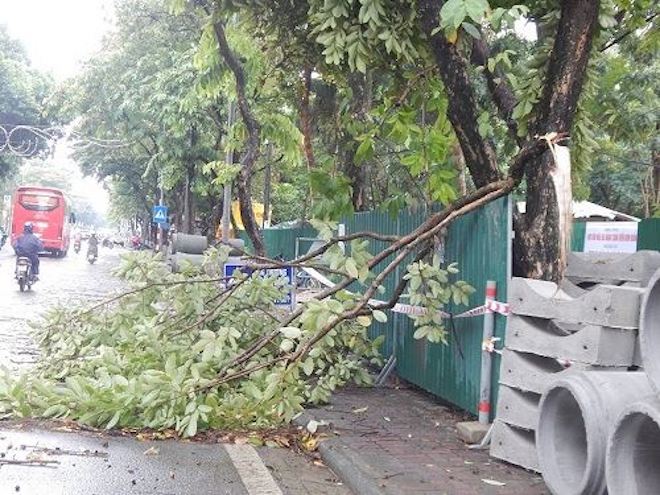 CẬP NHẬT bão số 10 ngày 14/9: Bão chưa đổ bộ đã có 2 người chết, mất tích - 15