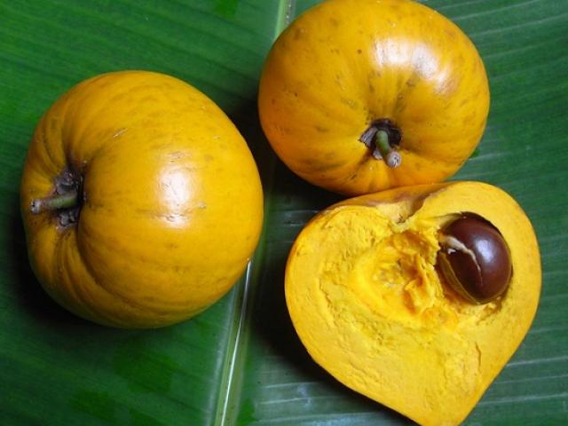 Loại quả người Việt để rụng đầy gốc, ở nước ngoài có giá 1.5triệu/kg