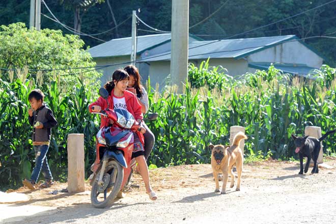 Vụ đấu súng vây bắt trùm ma túy: Bản Tà Dê sau cơn &#34;bão lửa&#34; - 6