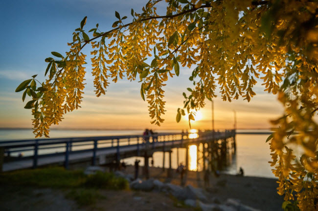 Crescent Beach, Canada: Bãi biển dài hơn 6 km được coi là thiên đường của những người theo chủ nghĩa thiên nhiên ở Canada.