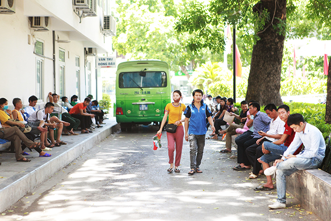 Hà Nội hóa &#34;lò bát quái&#34;, người nhà bệnh nhân vạ vật trong ATM, gốc cây tránh nắng - 3